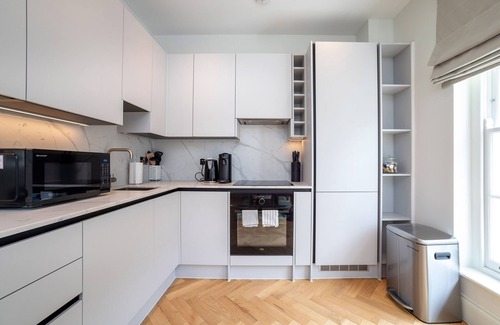 Vincent Square Appartement | 3 Bedroom Flat With Terrace in Central London