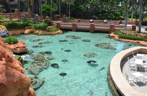 Paradise Island Station Balnéaire | 3 Bedroom - Harborside Resort at Atlantis - Full Resort Access