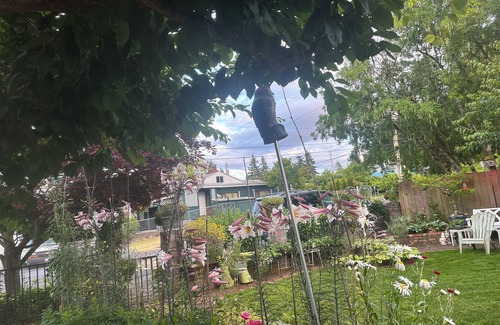 Des Moines Maison | 3-Bedrooms-5PAX-Helen’s Garden House🏡Minutes from airport@Des Moines~Seattle,WA.