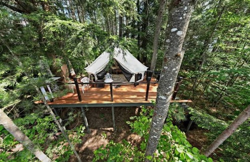 Brantingham Cabine | 3 Epic Stays on Private Island
