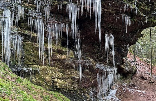 Cleurie Appartement | Gite 3 personnes lisière de forêt à proximité sentiers de randonnées