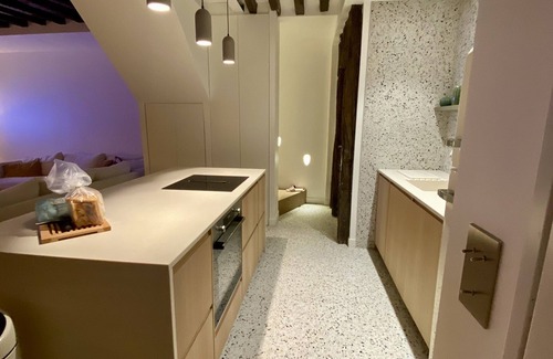 Quartier de la Porte-Saint-Denis Appartement | 3 pièces luxe duplex. Coeur de Paris, proche gares de l'est et nord.6 couchages