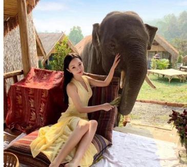 Mae Wang Maison | 3 Pok Maewang jinxiang Gold elephant park