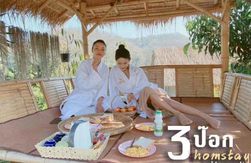 Mae Wang Maison | 3 Pok Maewang jinxiang Gold elephant park