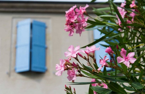 Soual Maison | 300 m² Gîte ∙ 5 chambres ∙ 10 personnes