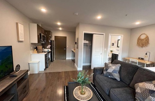 Logan Square Appartement | 303 Cozy and modern 1BR apartment in center City