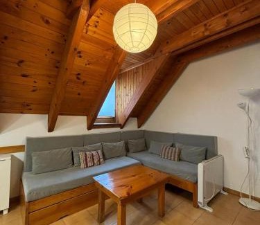 Pla de l'Ermita Appartement | 305 - Dúplex Pla de L'Ermita Boí Taüll