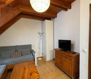 Pla de l'Ermita Appartement | 305 - Dúplex Pla de L'Ermita Boí Taüll