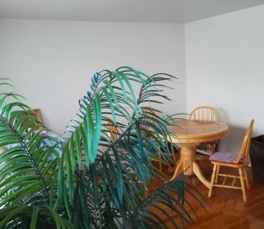 Englewood Maison | 320 Happy Home
