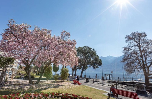 Ascona Appartement | 35 m² Appartement ∙ 1 chambre ∙ 2 personnes
