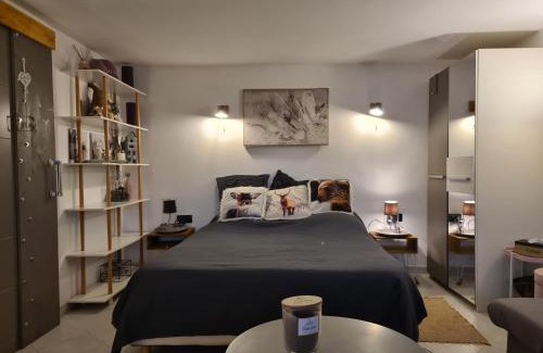 Pallud Appartement | 35m2 Hauts d'Albertville Terrasse avec Vue