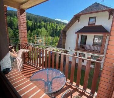 Stronie Slaskie Appartement | 36 m² Appartement ∙ 1 chambre ∙ 4 personnes