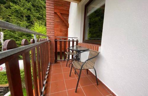 Stronie Slaskie Appartement | 36 m² Appartement ∙ 1 chambre ∙ 4 personnes