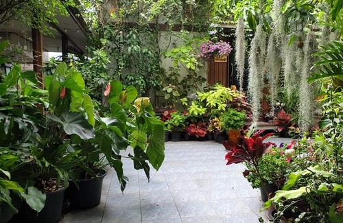 Talat Bang Khen Maison | 37 Nature House