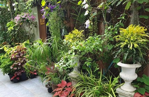Talat Bang Khen Maison | 37 Nature House