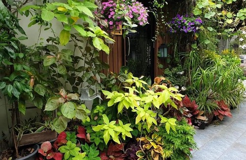 Talat Bang Khen Maison | 37 Nature House