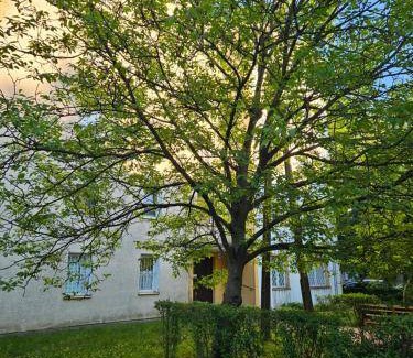Milanowek Appartement | 38 m² Appartement ∙ 1 chambre ∙ 4 personnes