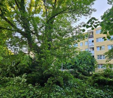 Milanowek Appartement | 38 m² Appartement ∙ 1 chambre ∙ 4 personnes