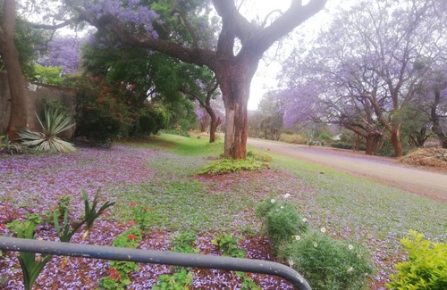 Bulawayo Lit Et Petit-Déjeuner | 38 m² Chambre d'hôtes ∙ 2 personnes