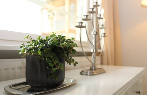 Espoo Appartement | 39 m² Appartement ∙ 2 personnes