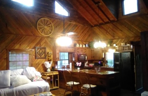 Reddick Cabine | Meublé 3BR / 2BA Log Cabin @ Stream, Animaux OK, wi-fi, TV câblée,
