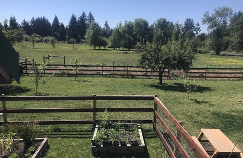 Toledo Appartement | 3G Farms studio Gateway to Mount St. Helens & Cowlitz River