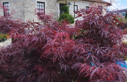 Paredes Cottage | 3HOUSE: Sol na Eira A country house with a lot of history to tell.