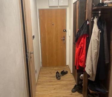 Havirov Appartement | 3kk - centrum Havířova