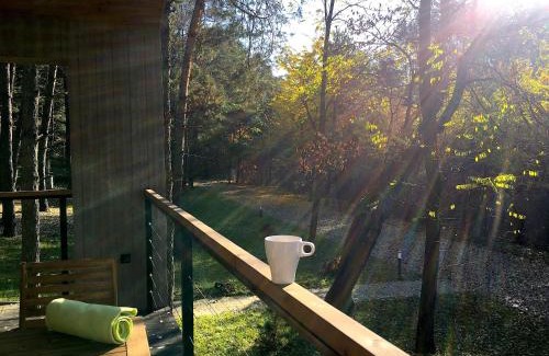 Susiec Maison | 3pokoje - Domek lub Pokój pod lasem na odludziu, jacuzzi, sauna, kominek, Roztocze