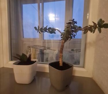 Lutsk Appartement | 4 Кімнатні Апартаменти в Центрі, вул Незалежності, 5