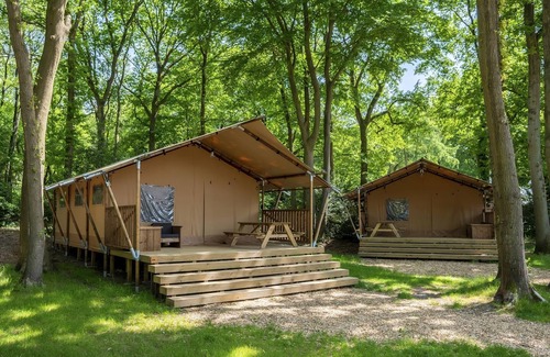 Huizen Location De VR | 4-5-person safari tent in the holiday park Landal Gooise Heide