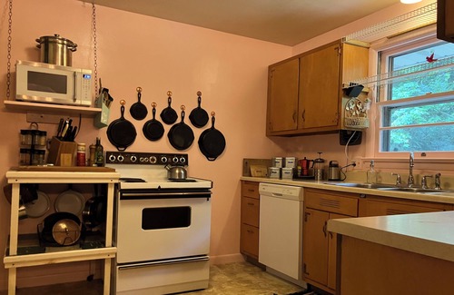 Williamsport Maison | 4 bed 2 bath Mid century modern in Vallamont, 10 mins from Lamade Stadium.