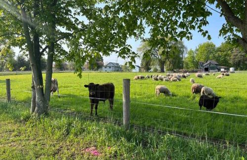Tillsonburg Appartement | 4 bedroom apartment on 75 acre farm
