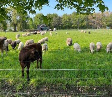 Tillsonburg Appartement | 4 bedroom apartment on 75 acre farm