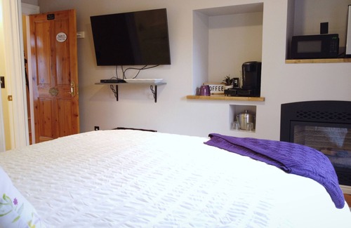 Snowflake Hôtel | #4 Charming Room in Historic House, Violet Villa