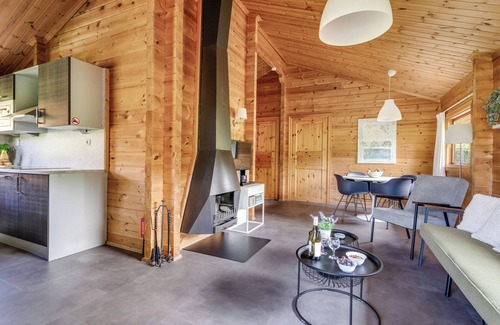 Gramsbergen Maison | 4-person bungalow with private sauna, veranda, dishwasher and washing machine at park ’t Hooge Holt near Gramsbergen and nature.
