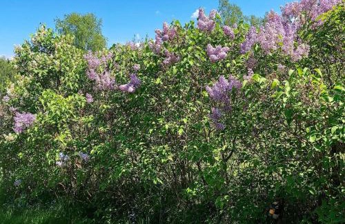 Sodertalje Maison | 4 person holiday home in Södertälje-By Traum
