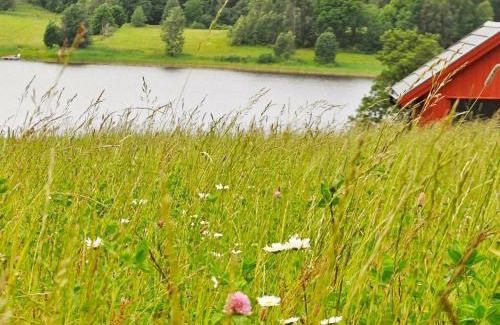Frandefors Maison | 4 person holiday home in Frändefors