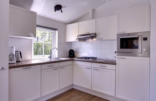 Municipality of Dalfsen Maison | 4-persoons bos by Interhome