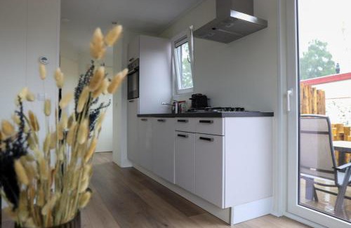Voorthuizen Chalet De Ski | 4-persoons Voortse Villa Wellness