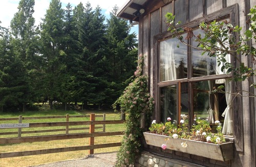Vashon Island Appartement | Studio Wildwood - Animaux acceptés