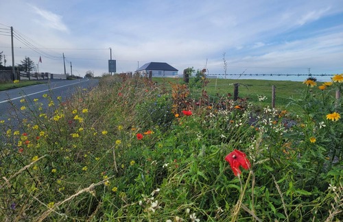 Crosswell Cottage | 40 m² Cottage ∙ 2 chambres ∙ 4 personnes