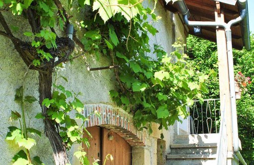 Reyrevignes Maison | 40 m² Gîte ∙ 1 chambre ∙ 2 personnes