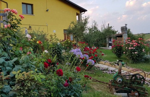 Pesaro Appartement | 42 m² Appartement ∙ 6 personnes