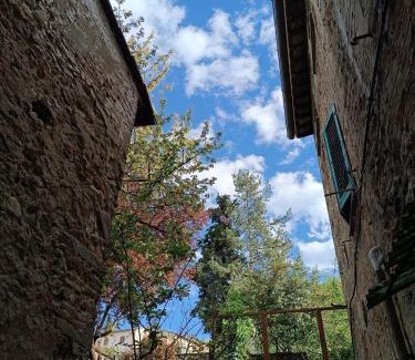Anghiari Maison | 44 Ricci