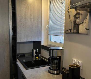 Grudziadz Appartement | 45 m² Appartement ∙ 1 chambre ∙ 6 personnes