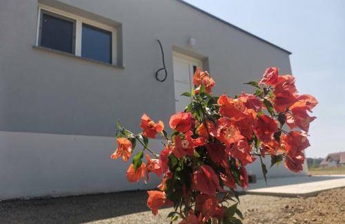 Großdietmanns Appartement | 45 m² Appartement ∙ 2 chambres ∙ 5 personnes