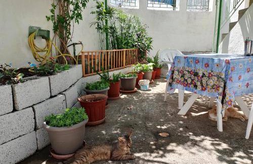 Trikeri Appartement | 45 m² Appartement ∙ 2 chambres ∙ 3 personnes
