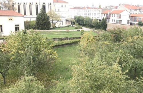 Saint Nicolas - Charles III - Ville vieille - Trois Maisons - Leopold Appartement | 45m2 Nancy, chambre, salle de sport