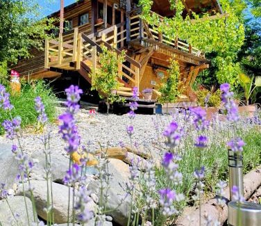 Avrig Cabine | 479 Tiny House, Domeniul von Agodt